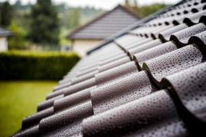 Tuile Poreuse : Solutions et Prise en Charge par Votre Assurance