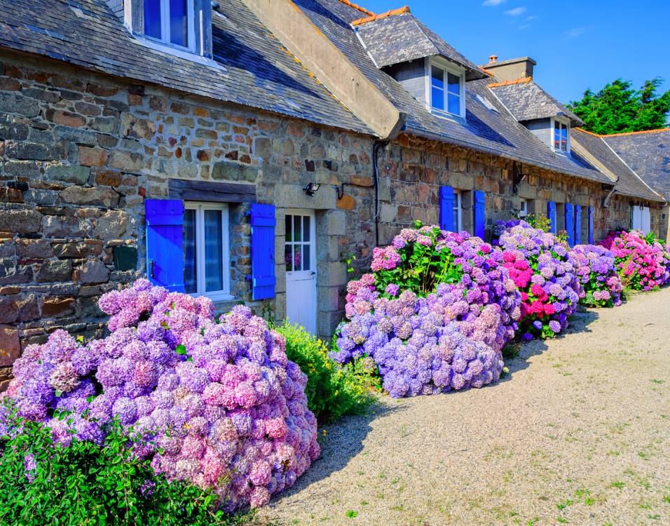 maison en Bretagne avec jardin